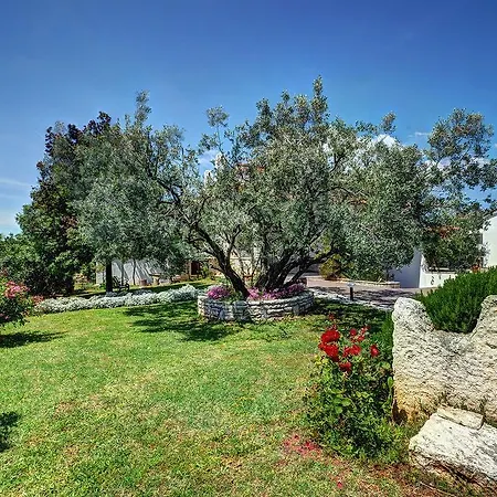 Villa Sonja