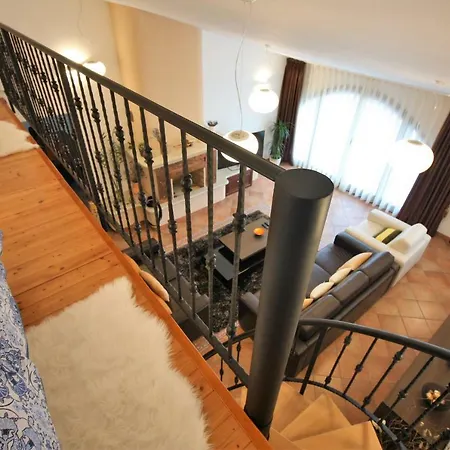 Sonja Villa *